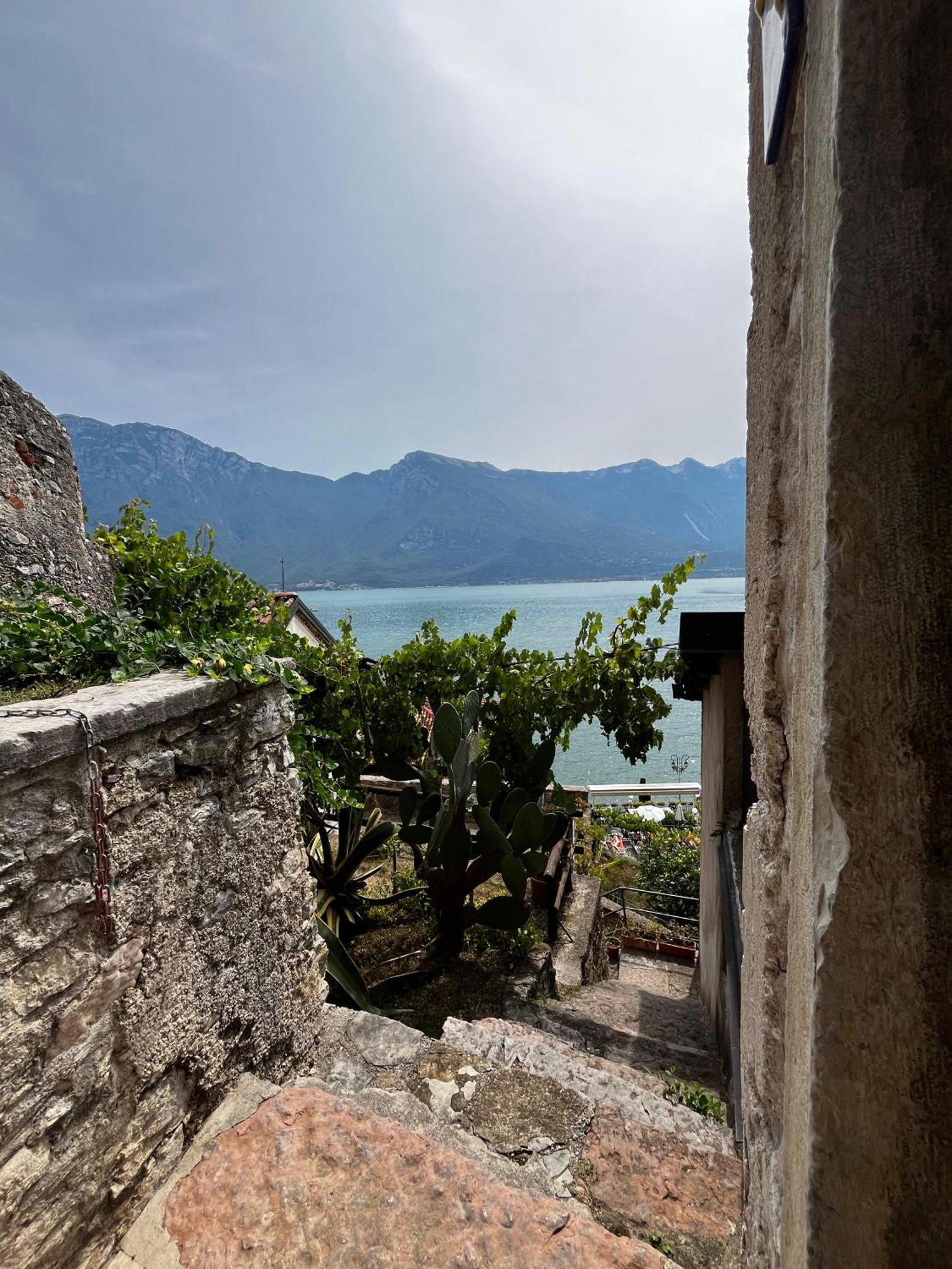 リモーネ・スル・ガルダCasa Limonaia San Roccoアパートメント エクステリア 写真